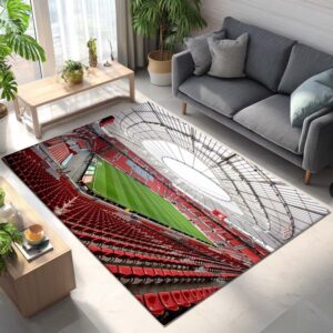 Spielfeld der BayArena Teppich 2