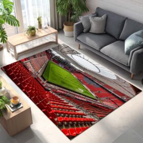 Spielfeld der BayArena Teppich 6